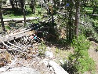 YosemiteCreek 001 : YosemiteCreek